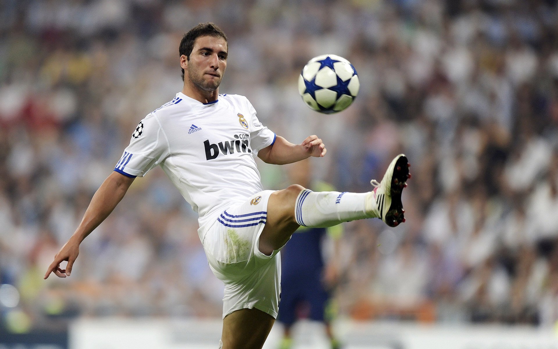 拜仁后防稳固，零封对手，拜仁新签后卫